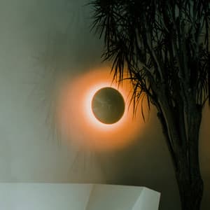 Sunset (feat. Cory Wong & Plini)