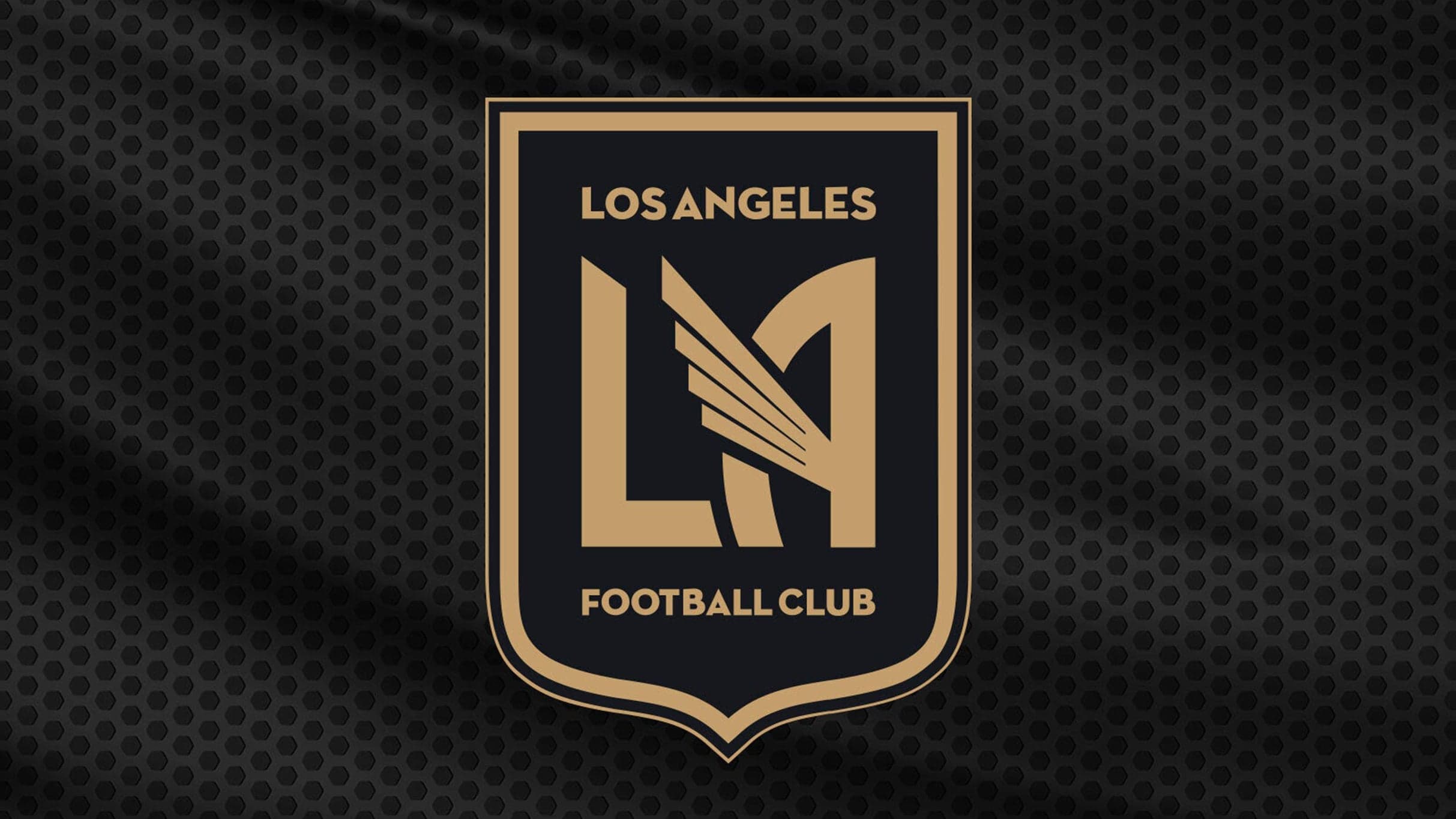 Los Angeles Football Club vs. LA Galaxy