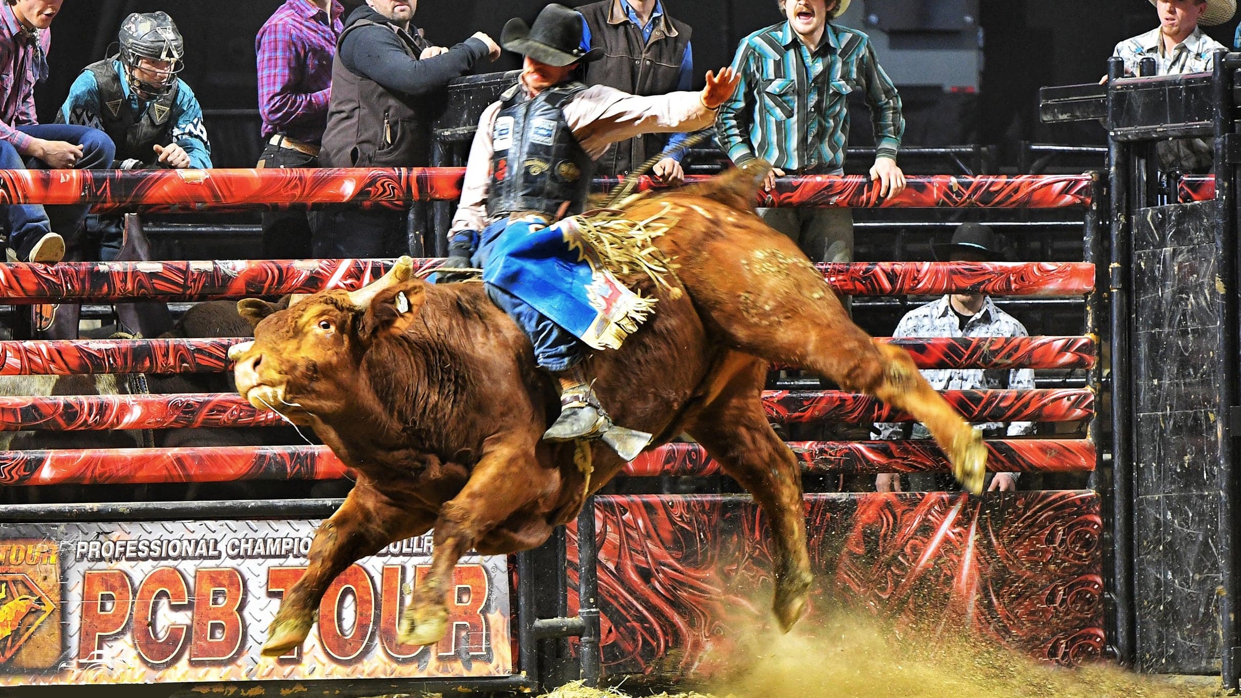 Professional Championship Bull Riders - Friday
