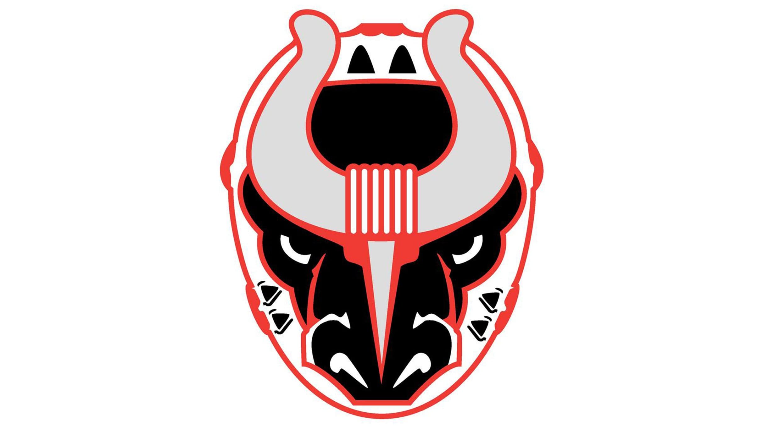 Birmingham Bulls v. Evansville Thunderbolts